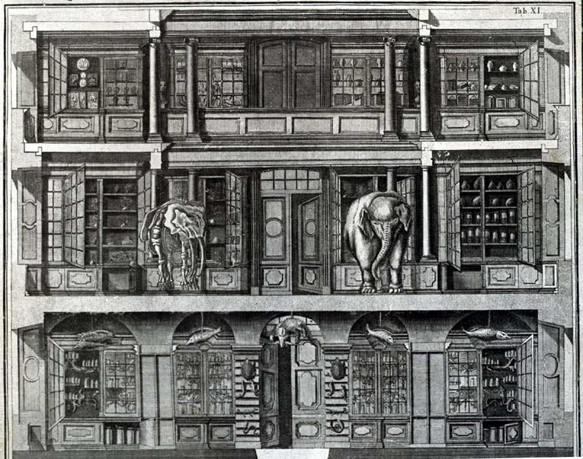 первый печатный каталог коллекций Кунсткамеры и альбом гравюр
