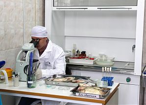 Специалист по контролю качества производства продукции из рыбы и морепродуктов